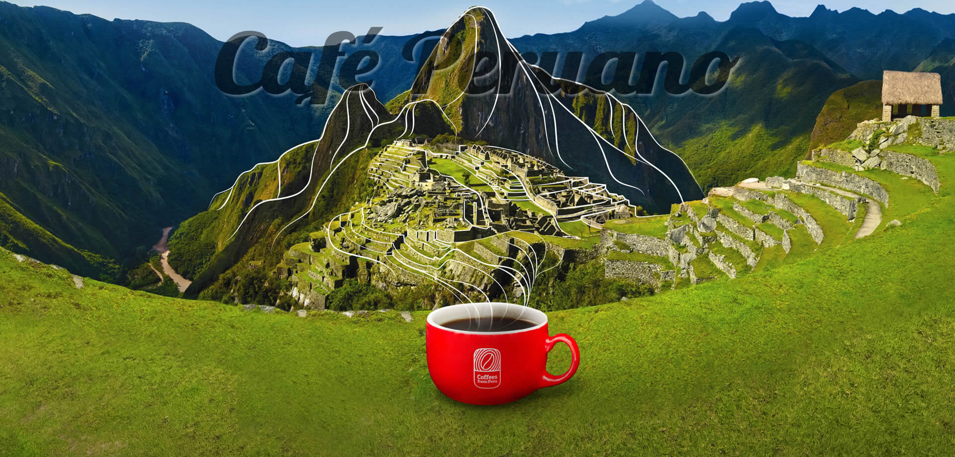 El Perú como Principal Productor de Café Organico en el Mundo